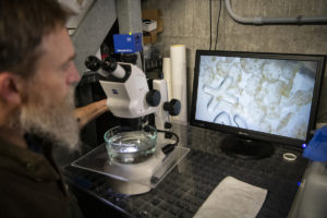 man looking through microscope