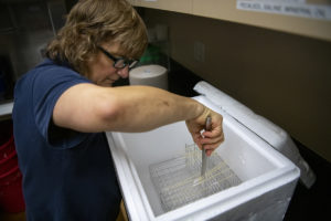 woman putting straws in cooler