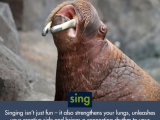 walrus singing