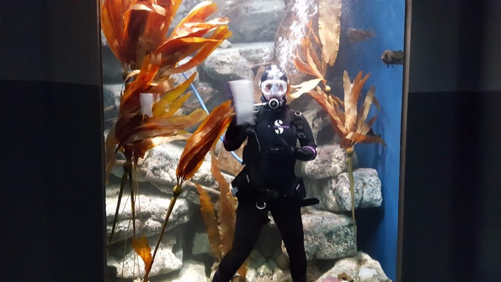 diver in aquarium