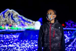 zoolights boy and mountain