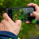 man takes pictures of plants