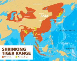 tiger range map
