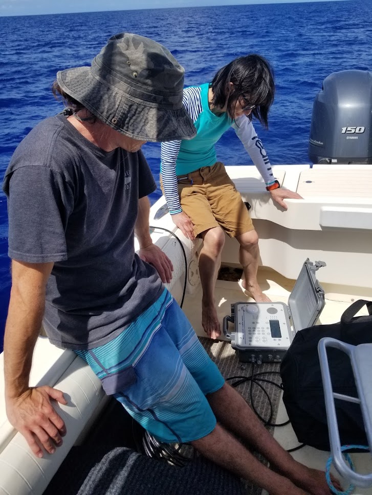 Tracking Hammerheads In Hawaii