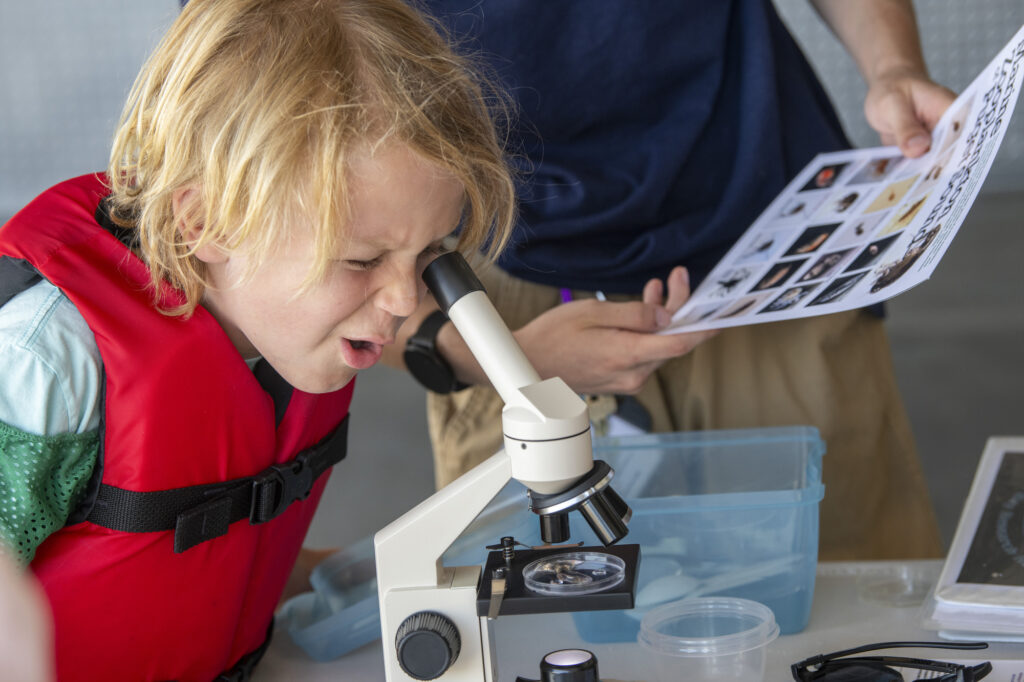 Child looking through a microscope