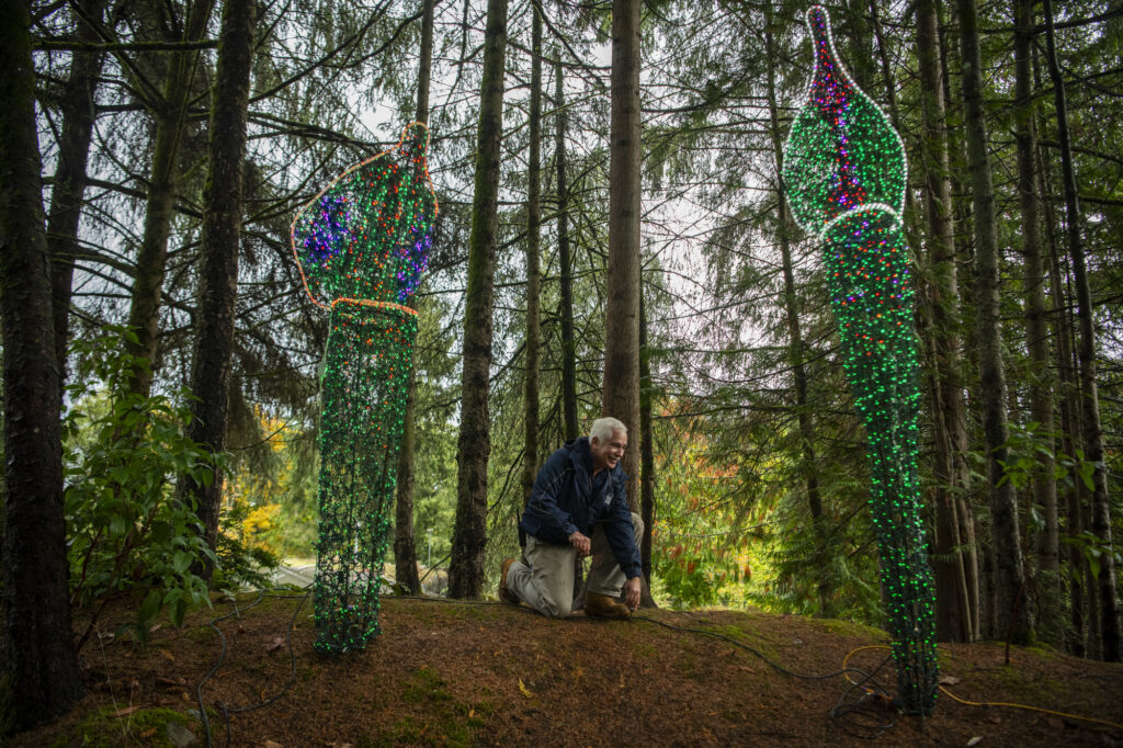 Operations team member Joe sets up Zoolights within the trees in October. 