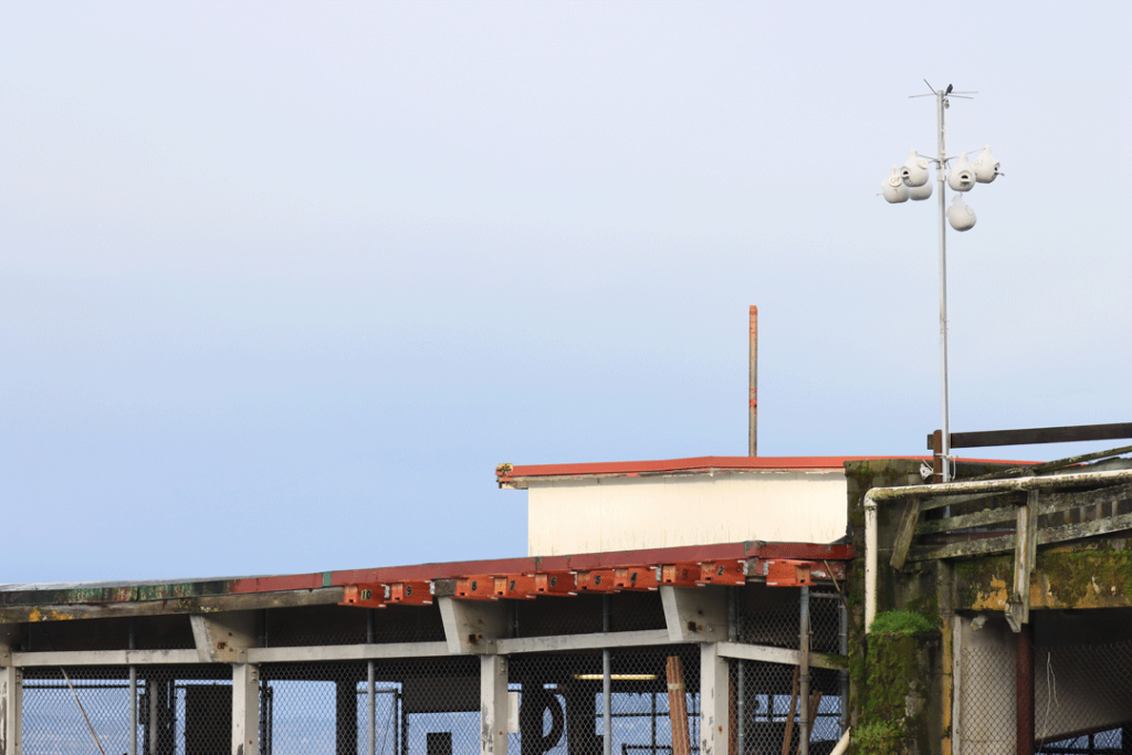 purple martin nest boxes