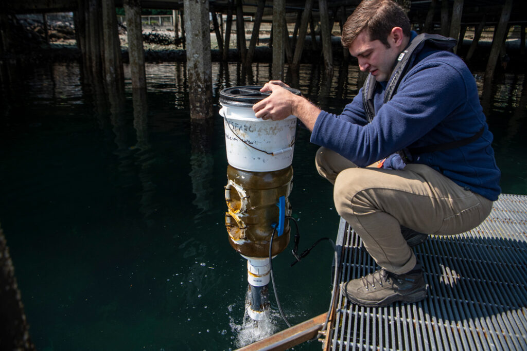 Larval crab monitoring 2025