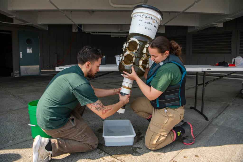 Larval crab monitoring 2025