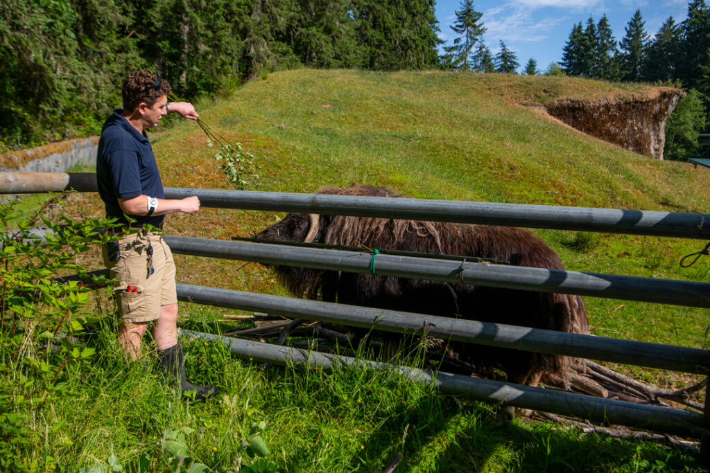 Zookeeper week 2025 Russell
