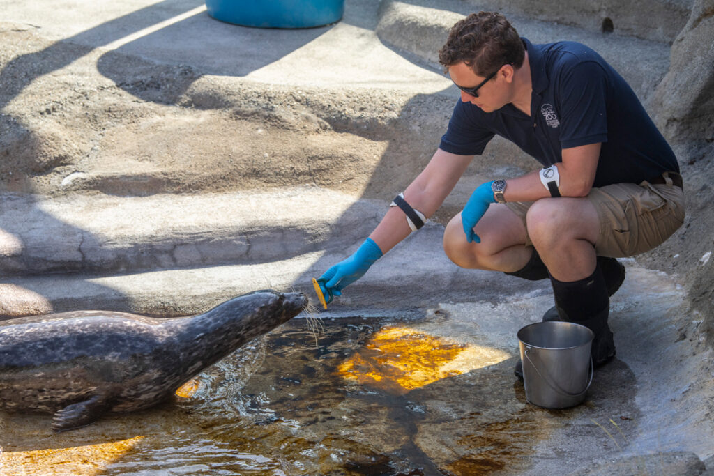 Zookeeper week 2025 Russell