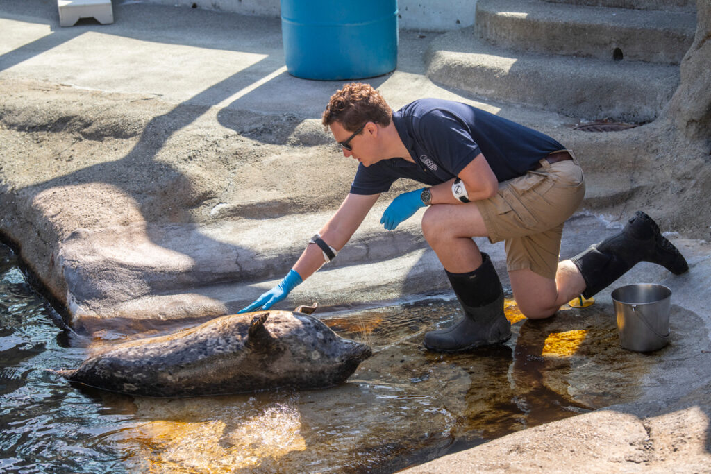 Zookeeper week 2025 Russell